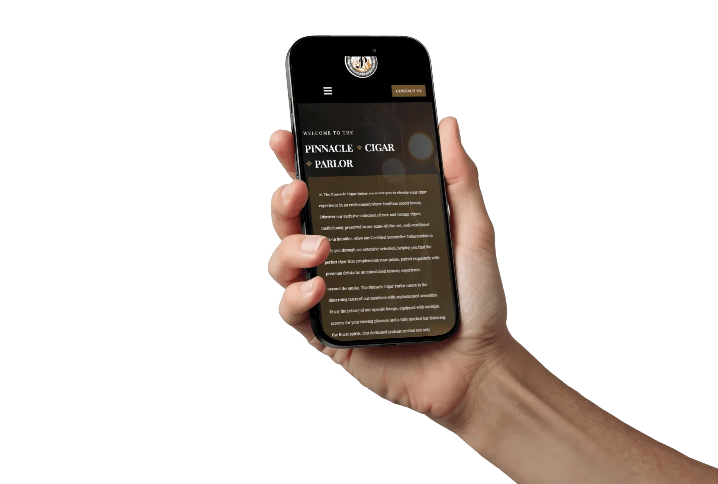responsive mobile website on i phone